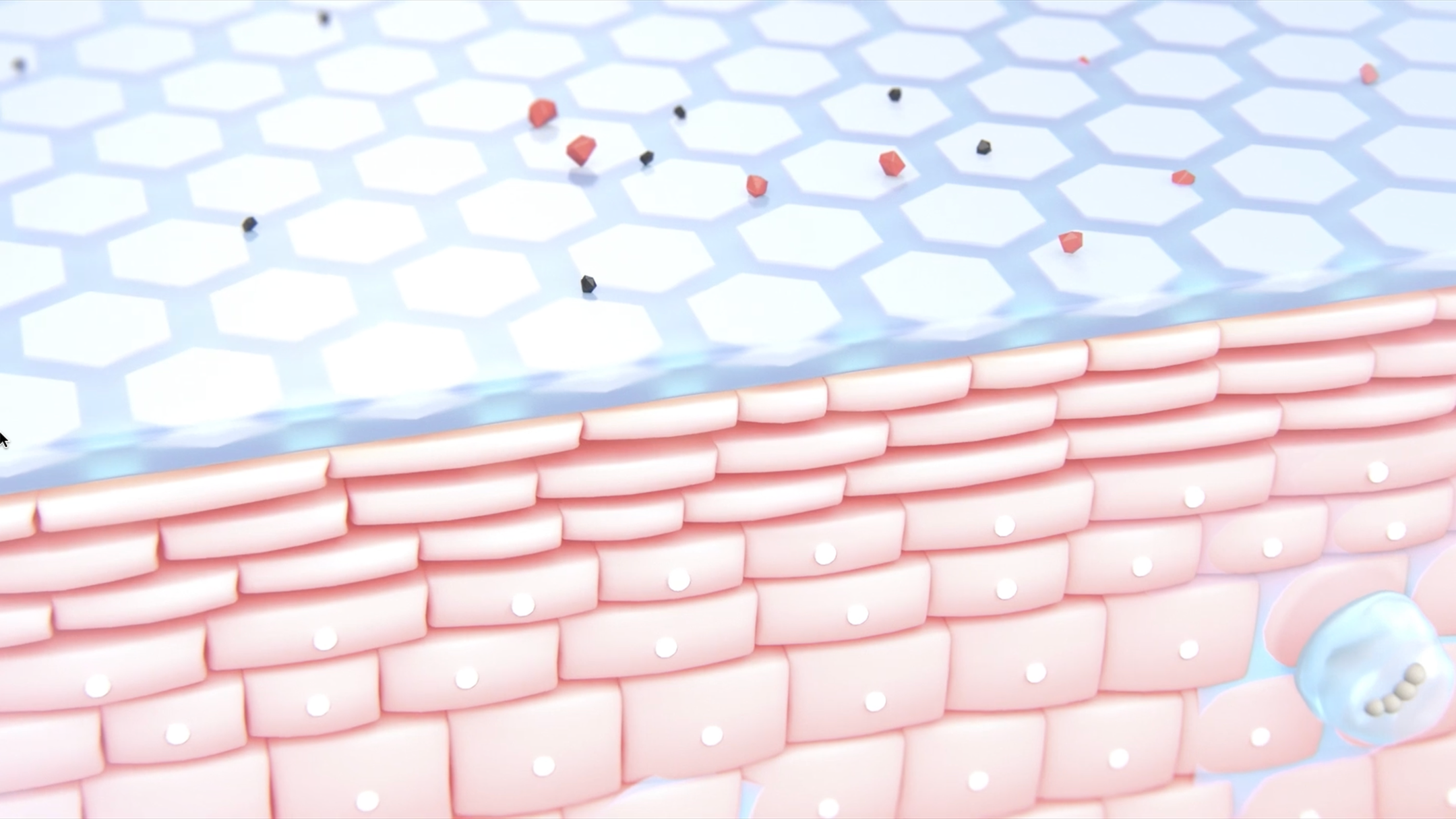 BIODERMA イドラビオ セラム ヒアルプラス コンセプト動画がロードされます。